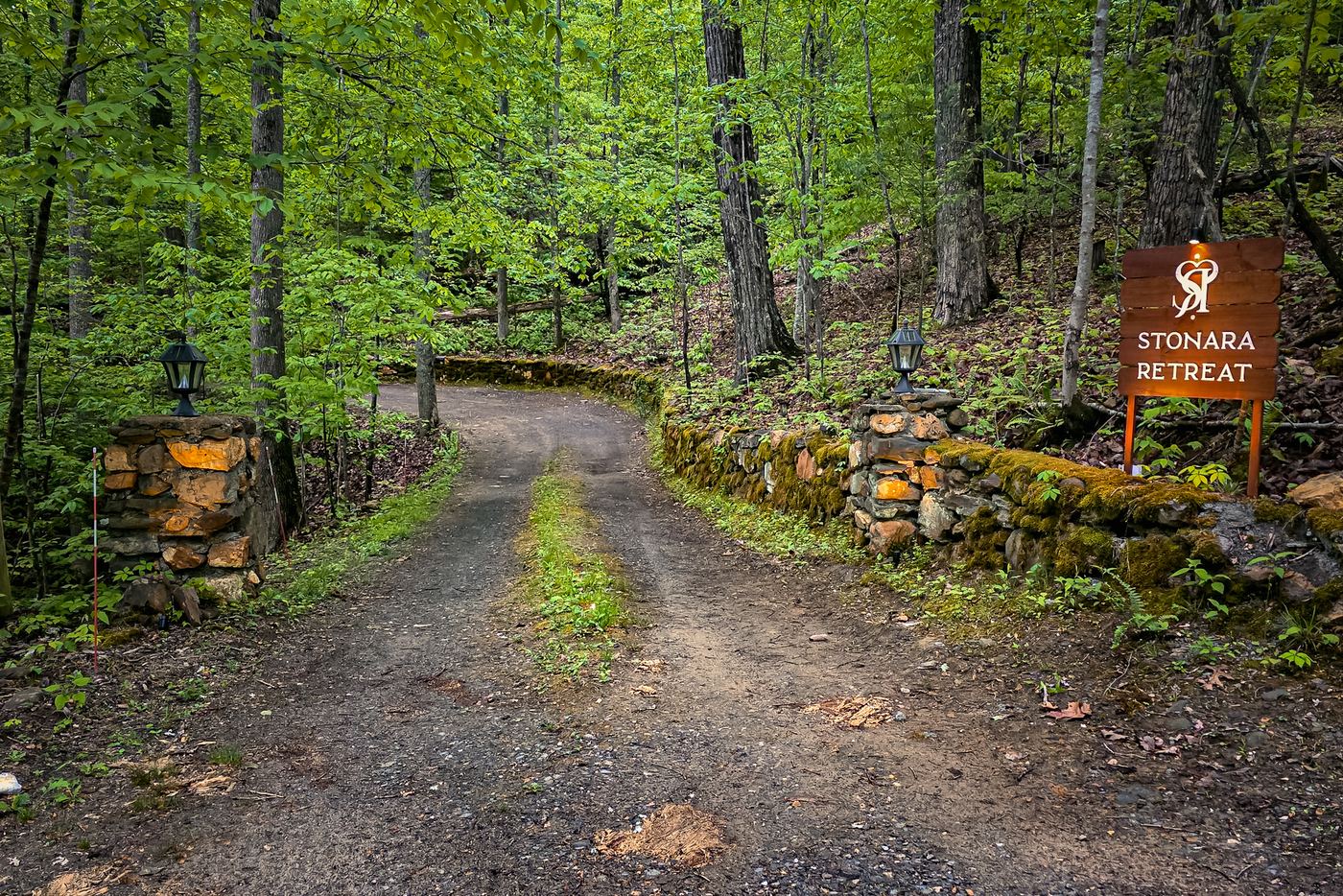Surroundings 3