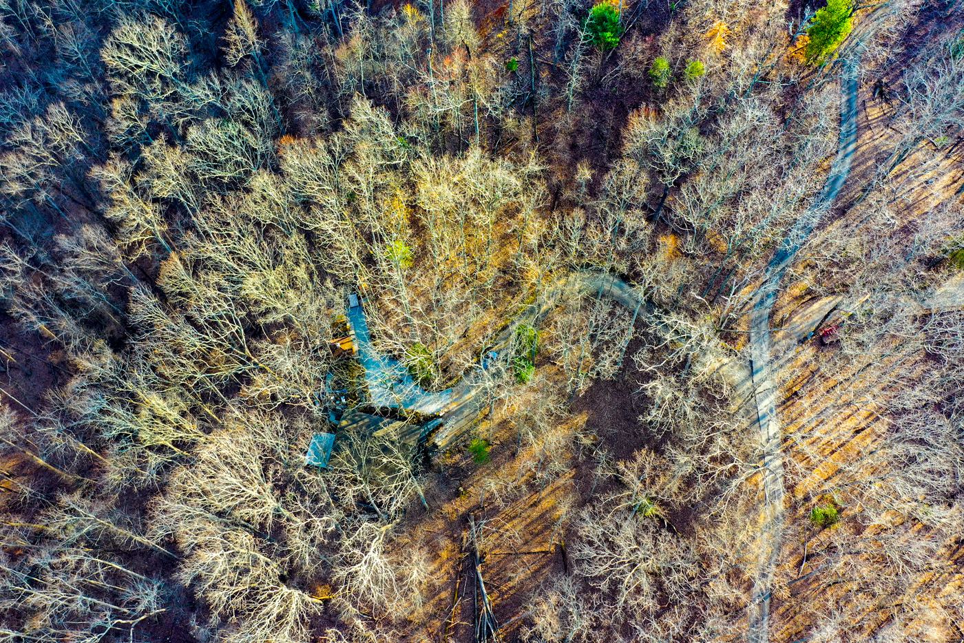Surroundings 5